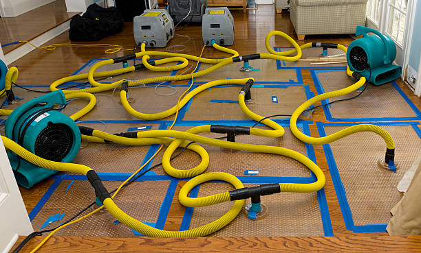 Professional Sewage Cleanup technician working in Goshen, KY